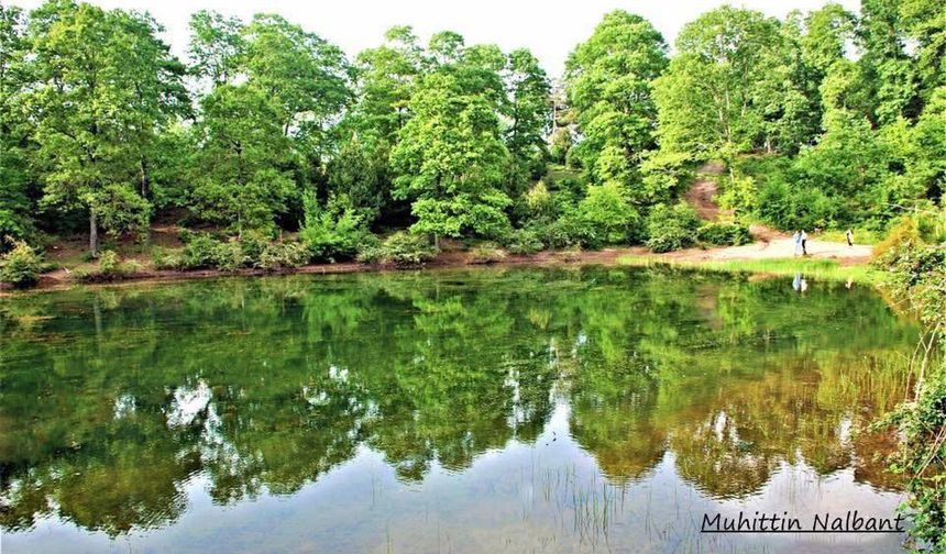 Osmaniye’nin Doğa Harikası Amanos Dağları