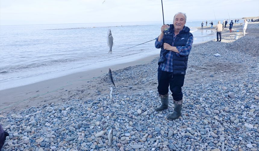 Samsun'da kafesten kaçan balıklar amatör balıkçıların yüzünü güldürdü
