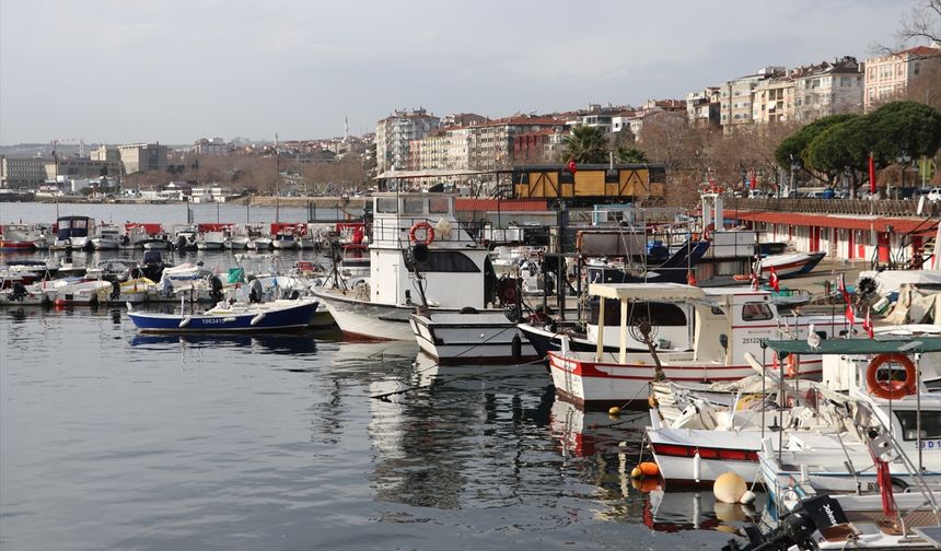 Tekirdağlı balıkçılar torik için denize açılıyor