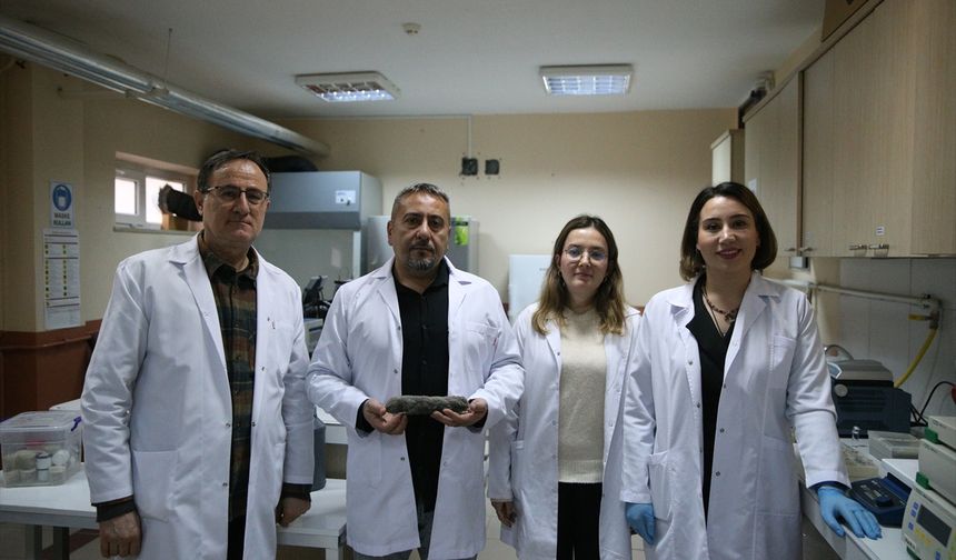 Türkiye'de kör köstebeğin 3 yeni türü keşfedildi