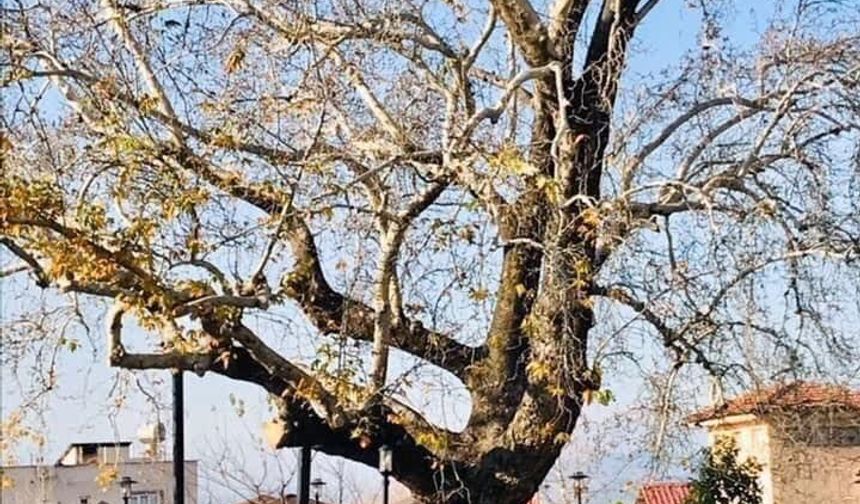 Osmaniye'nin 100 Yıldır Yaşayan Kültür Mirasına Sahip Çıkalım Çağrısı