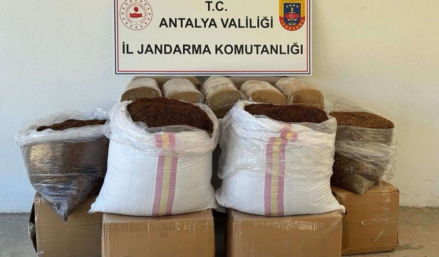 Antalya'da 500 kilogram kaçak tütün ele geçirildi