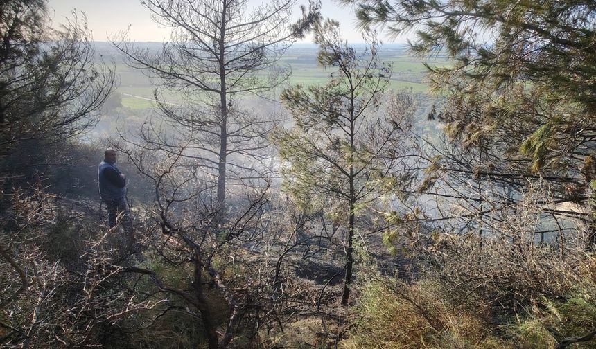 Arsuz ilçesinde çıkan orman yangını söndürüldü