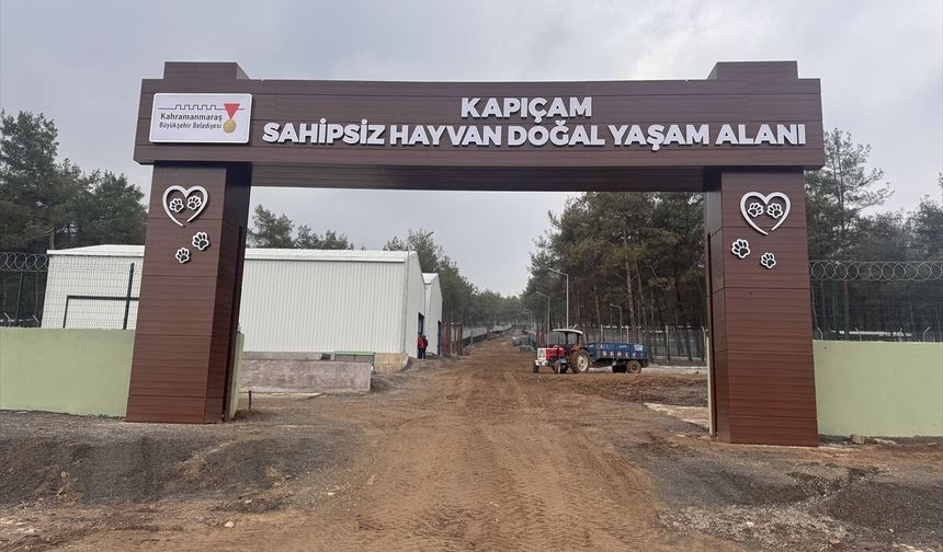Depremde hasar gören Kapıçam Sokak Hayvanları Rehabilitasyon Merkezi yenilendi
