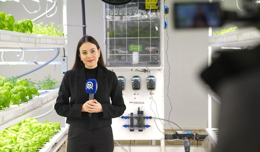 FAO Uluslararası Bilimde Kadınlar ve Kız Çocukları Günü için özel içerik hazırladı