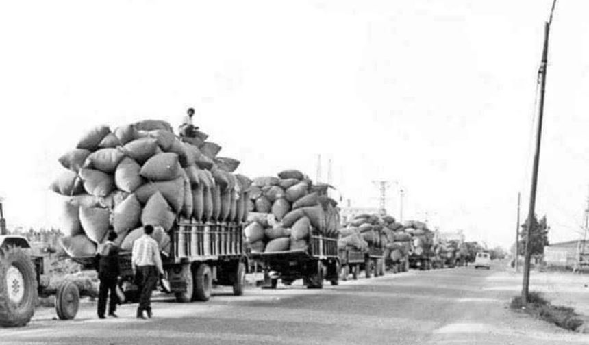 Osmaniye Çukobirlik Önündeki Pamuk Kuyrukları Tarihe Karıştı