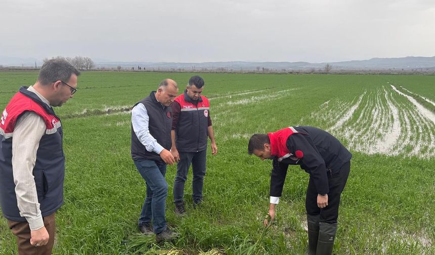 Sağanak yağışlar tarım arazilerinde zarara neden oldu