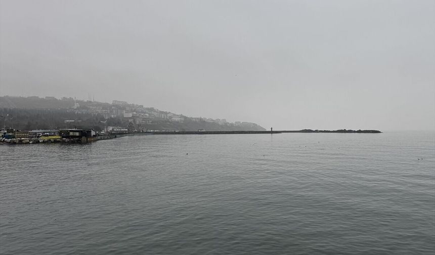 Tekirdağ'da sis deniz ulaşımını aksattı