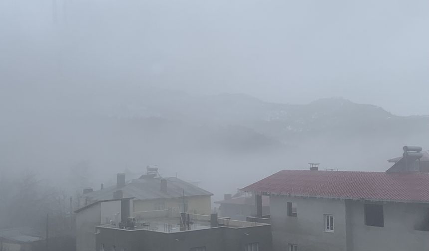 Adana'nın yüksek kesimlerinde kar yağışı etkili oldu