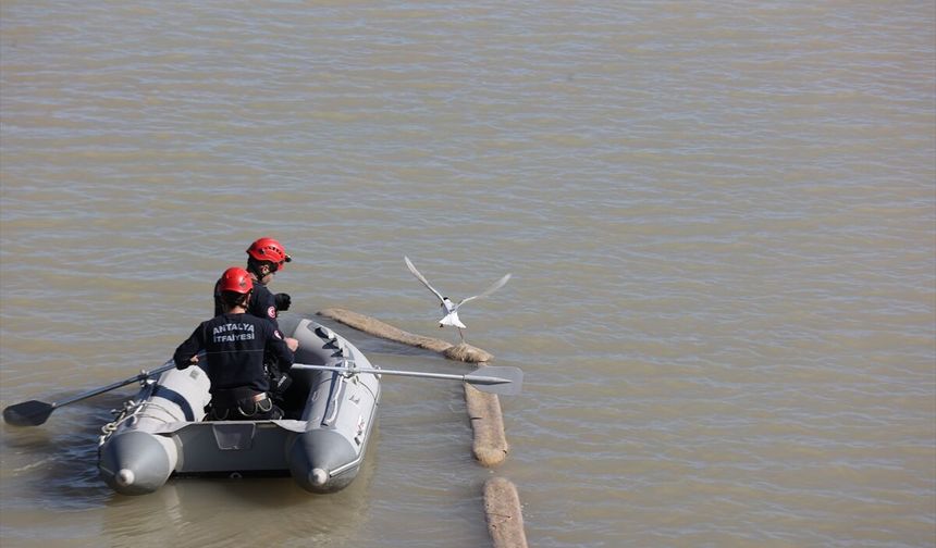 Antalya'da misinaya dolanan martıyı itfaiye kurtardı