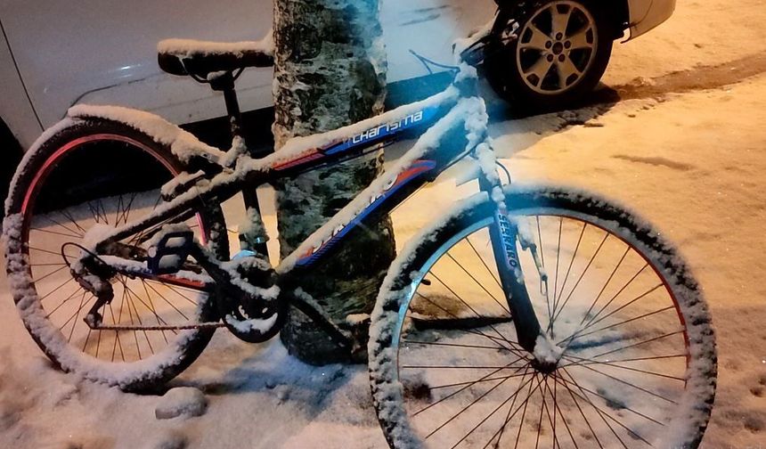 Ardahan'da kar yağışı etkili oldu