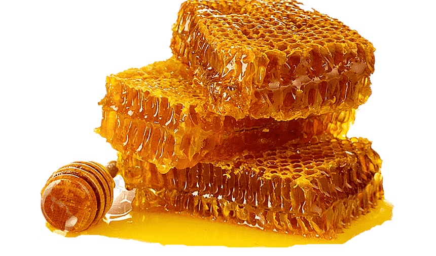 Birlik binasında bayram coşkusu