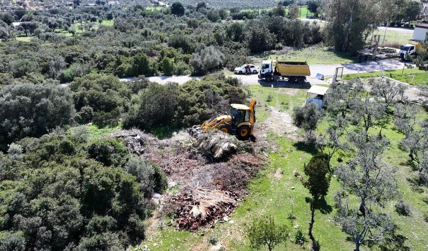 Didim Belediyesi ekiplerinden temizlik çalışması