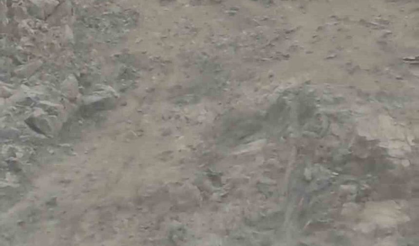 Diyarbakır'da nesli tükenme tehlikesi altında bulunan dağ keçileri sürü halinde görüntülendi