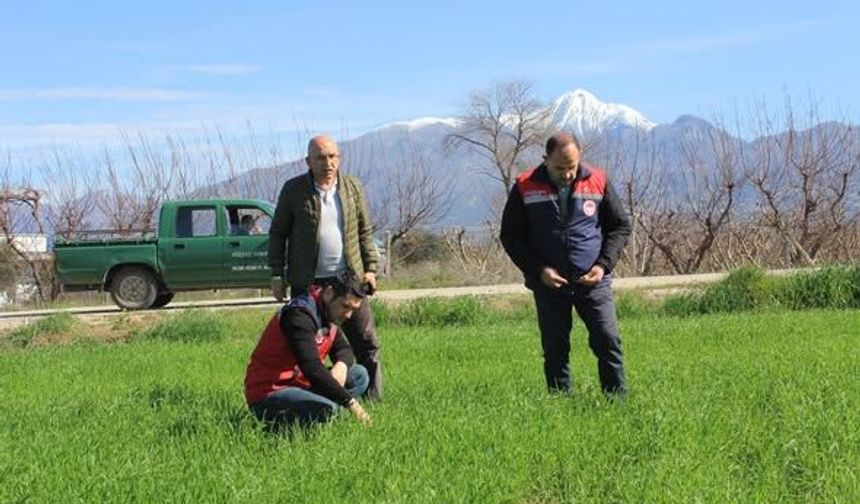 Düziçi’nde Tarla ve Bahçelerde Sıkı Denetim