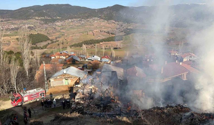 Köyde korkutan yangın: Evler ve ahırlar küle döndü