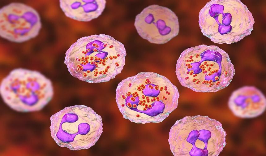 Menenjit Vakaları Arttı mı! Dünya Alarm'da Bebekler ve Gençler İçin Kritik Uyarı