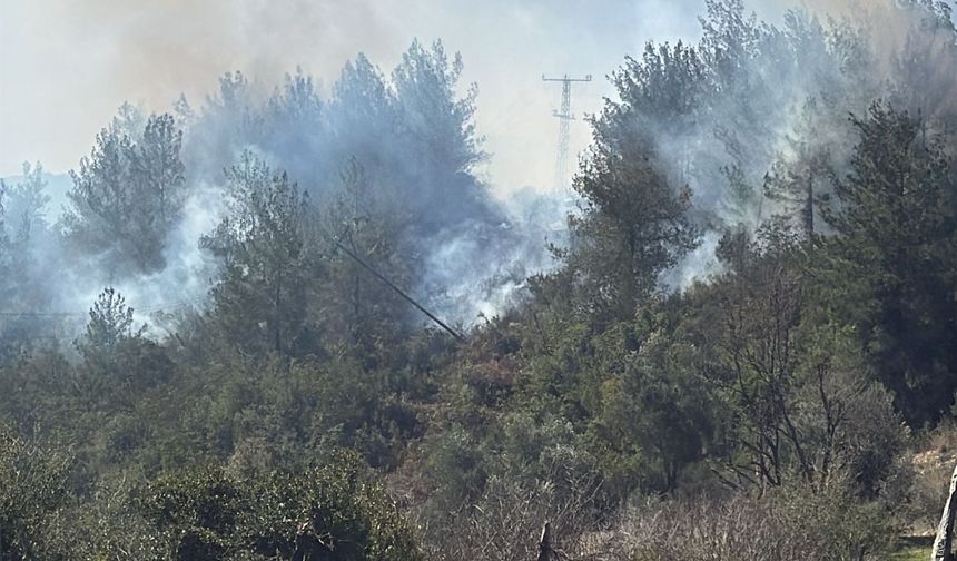 Osmaniye'de çıkan orman yangını söndürüldü