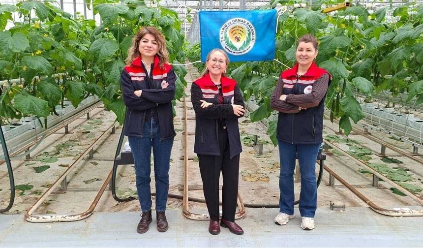 Tekirdağ'da kalıntısız üretime sertifika