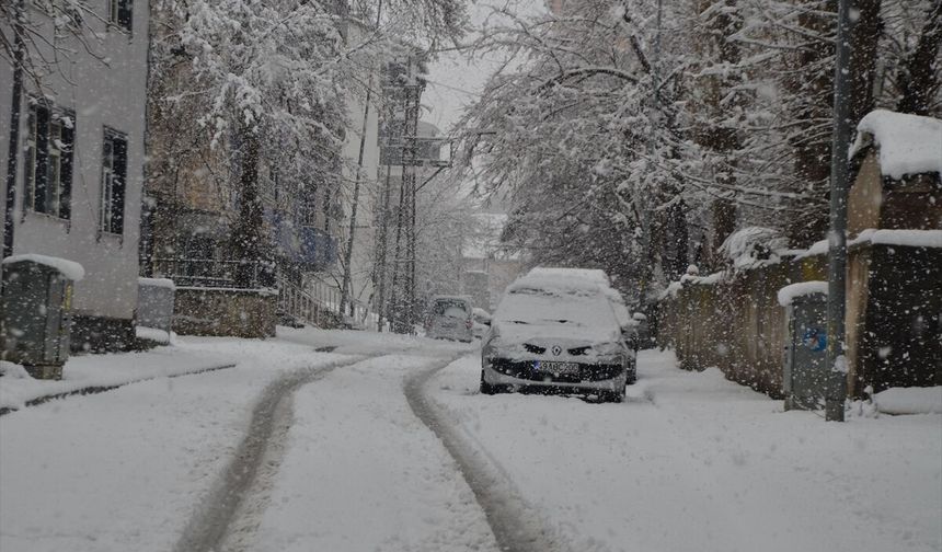 Van, Muş ve Hakkari'de kar nedeniyle 279 yerleşim yerine ulaşım sağlanamıyor