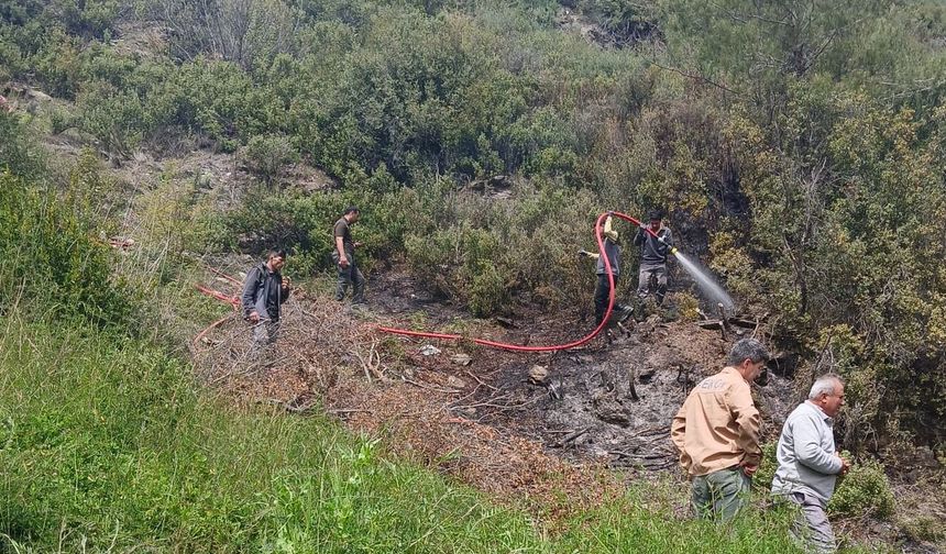 Alanya'da makilik alanda çıkan yangın söndürüldü