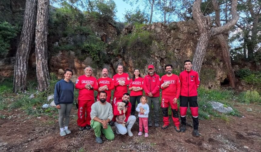 Antalya'da yarığa düşen köpek ve 6 yavrusu kurtarıldı