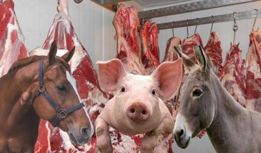 Adana Başta Olmak Üzere  At, Eşek ve Domuz Eti Yediren İller Belli oldu!