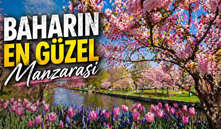 Baharın En Güzel Manzarası  İlgi Odağı
