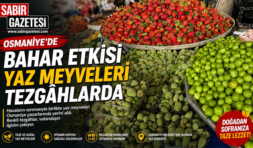 Osmaniye’de Bahar Etkisi Yaz Meyveleri Tezgâhlarda