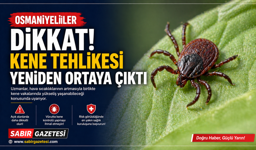 Osmaniyeliler Dikkat! Kene Tehlikesi Yeniden Ortaya Çıktı