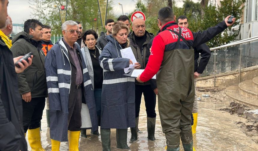 CHP’li Asu Kaya’dan Kadirli İçin Acil Müdahale Çağrısı