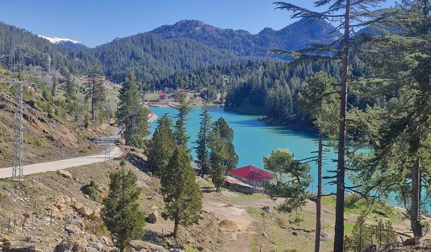 Osmaniye’de Bahar Renkleri: Doğa Çiçeklerle Canlandı