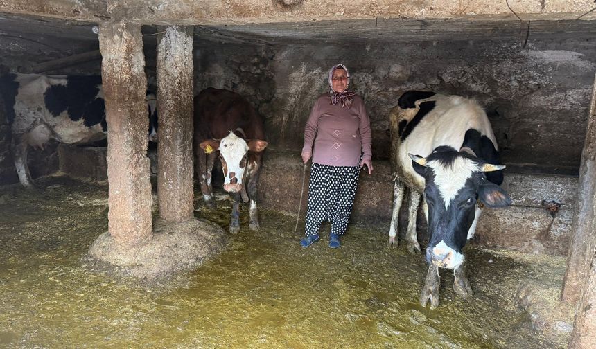 Osmaniye Hasanbeyli’de Kadın Üreticilere Destek