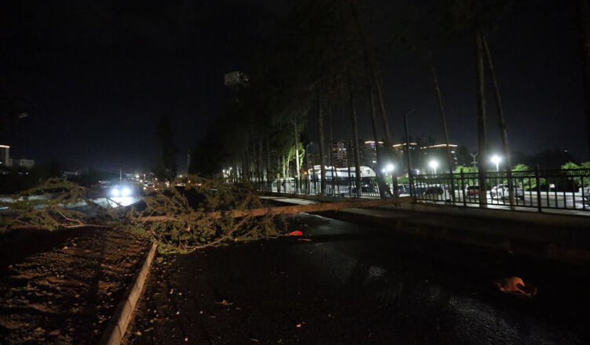 Hatay’da Fırtına Hayatı Felç Etti: İlçelerde Büyük Hasar