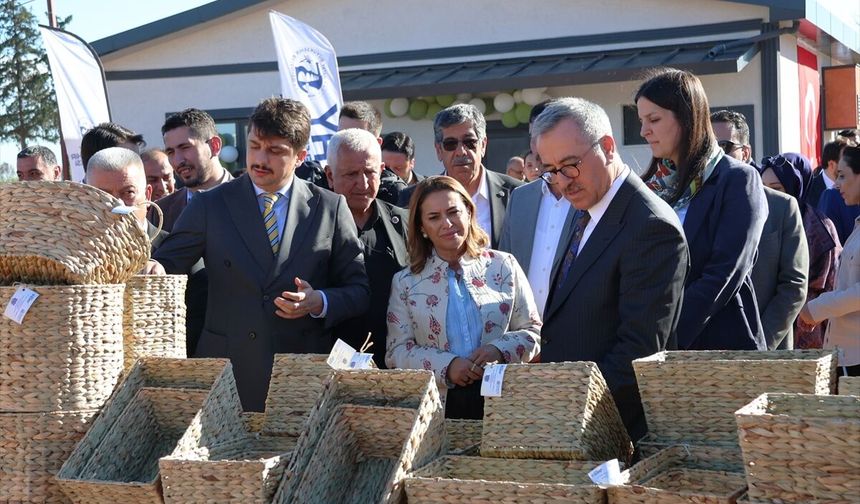 Hatay'da Su Sümbülleri İşleme Merkezi açıldı