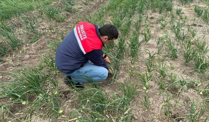 Osmaniye İl Tarım Müdürlüğü Sahada