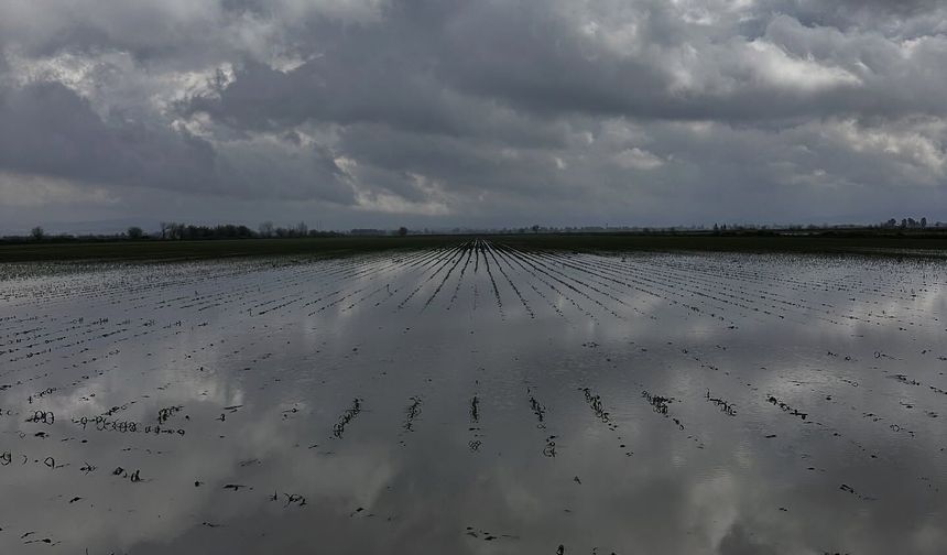 Kadirli’de Tarım Arazilerinde Zarar Tespiti