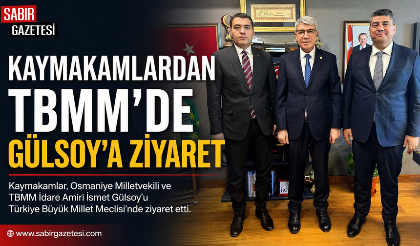 Kaymakamlardan TBMM’de Gülsoy’a Ziyaret