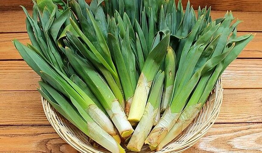 Körmen otu Nedir, Nasıl Pişirilir?