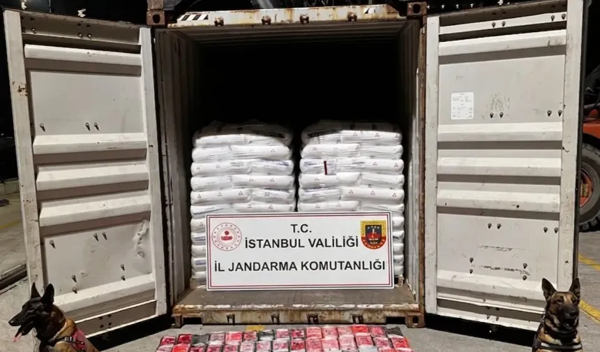 MİT, Jandarma ve Sahil Güvenlik’ten Ortak Operasyon