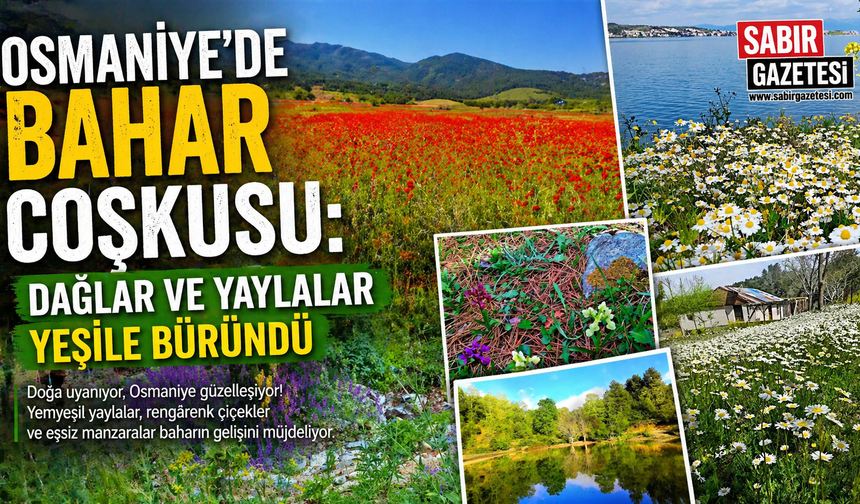 Osmaniye’de Bahar Coşkusu Dağlar ve Yaylalar Yeşile Büründü