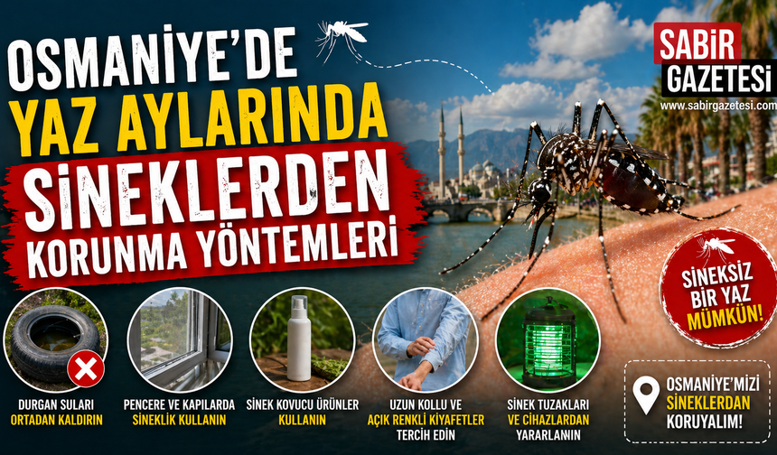 Osmaniye’de Yaz Aylarında Sineklerden  Korunma Yöntemleri