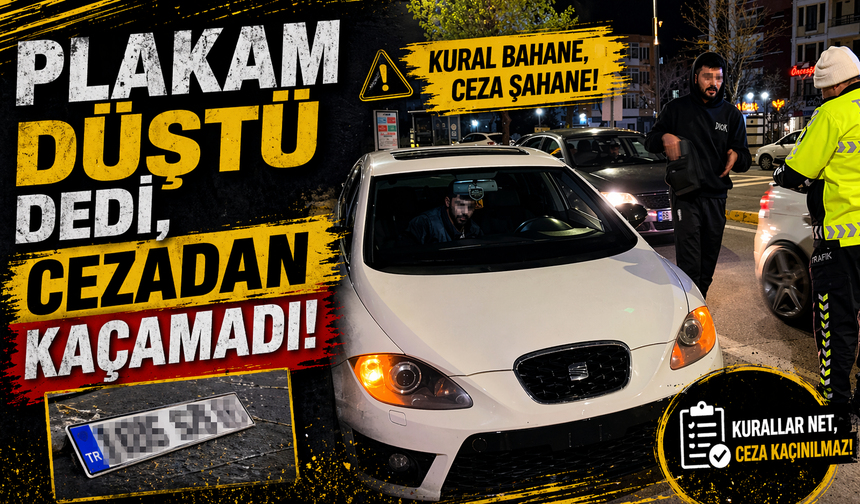 Plakam Düştü Dedi, Cezadan Kaçamadı