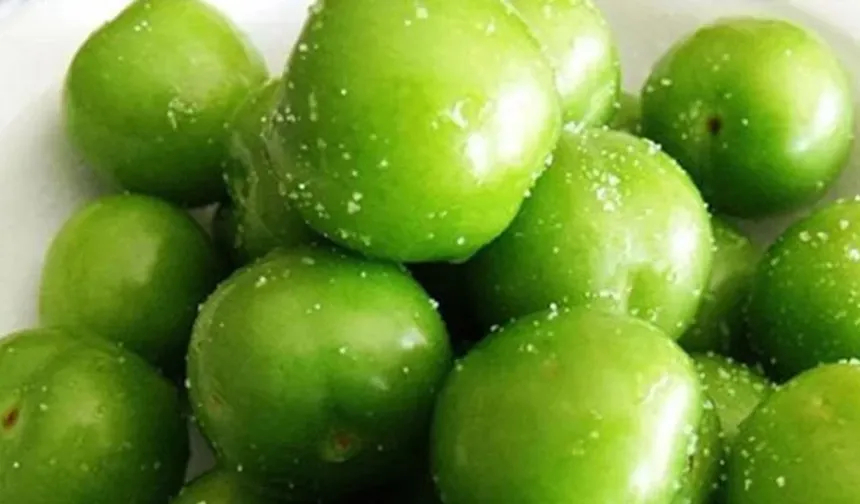 Silifke’de Erik Bereketi  Fiyatları Rekor Kırıyor