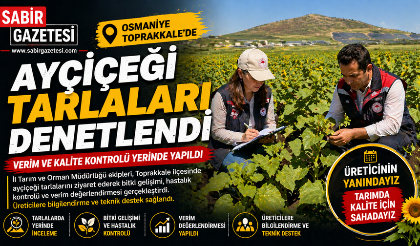 Osmaniye Toprakkale’de Ayçiçeği Tarlaları Denetlendi