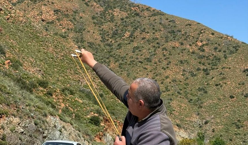 Trabzonlu öğrencilerin hazırladığı tohum topları Marmaris'te sapanlarla toprağa atıldı