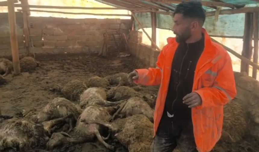 Üretici Bir Gecede Her Şeyini Kaybetti