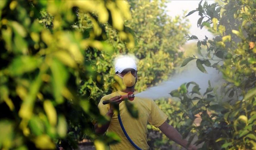 Osmaniye’de Tarımda Yeni Uygulama: