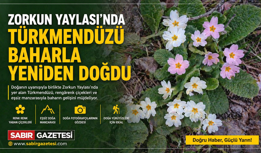 Zorkun Yaylası’nda Türkmendüzü Baharla Yeniden Doğdu