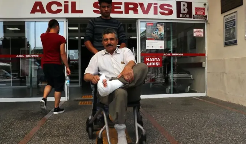 İstanbul’da Acemi Kasap Alarmı